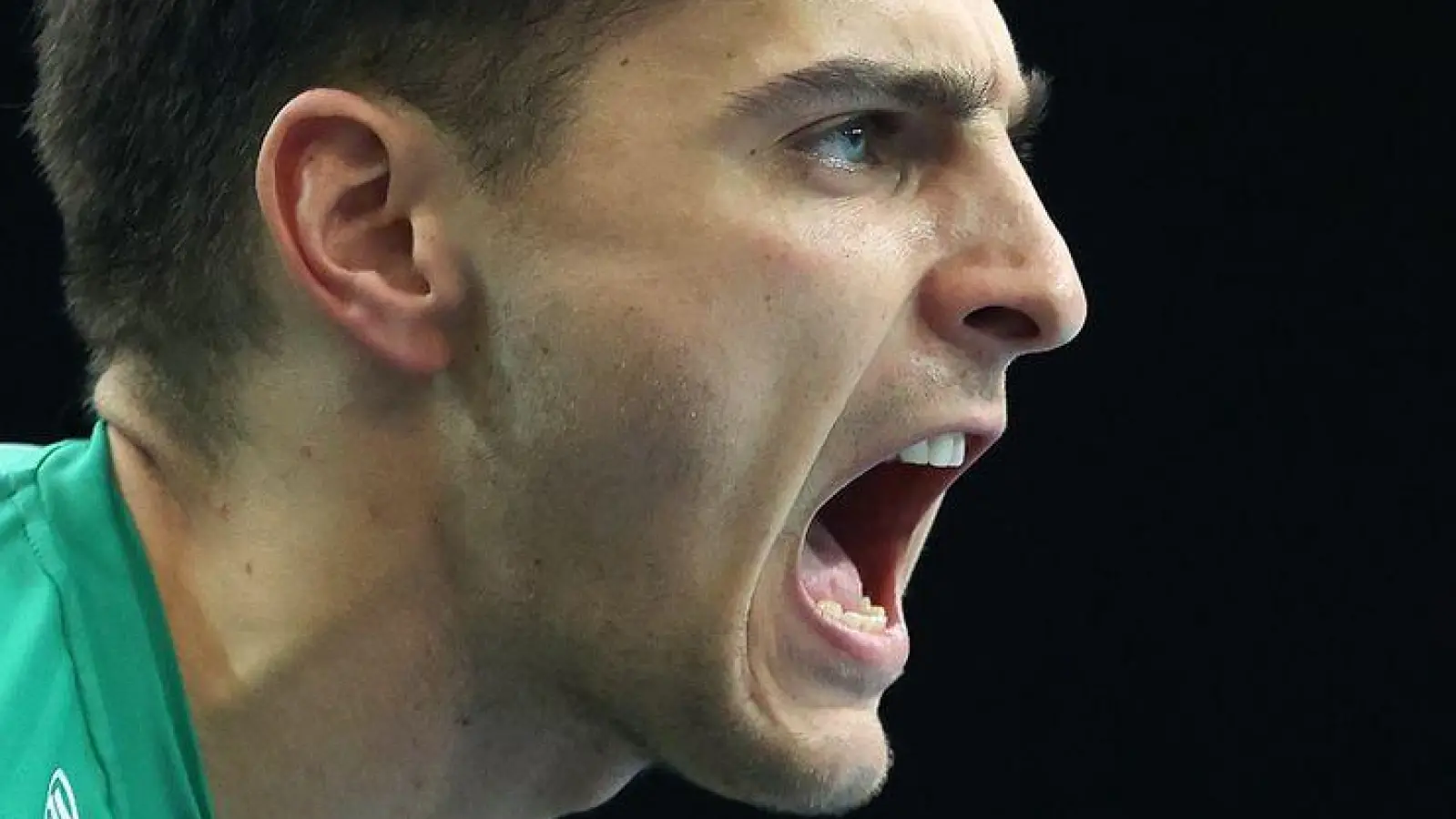 Der Königstransfer: Bundesliga-Routinier Lucas Krzikalla läuft künftig für die Panther auf. (Archivbild) (Foto: Ronny Hartmann/dpa-Zentralbild/dpa)