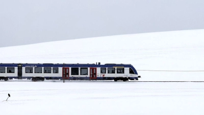 Im Freistaat hat es vielerorts geschneit. (Foto: Karl-Josef Hildenbrand/dpa)