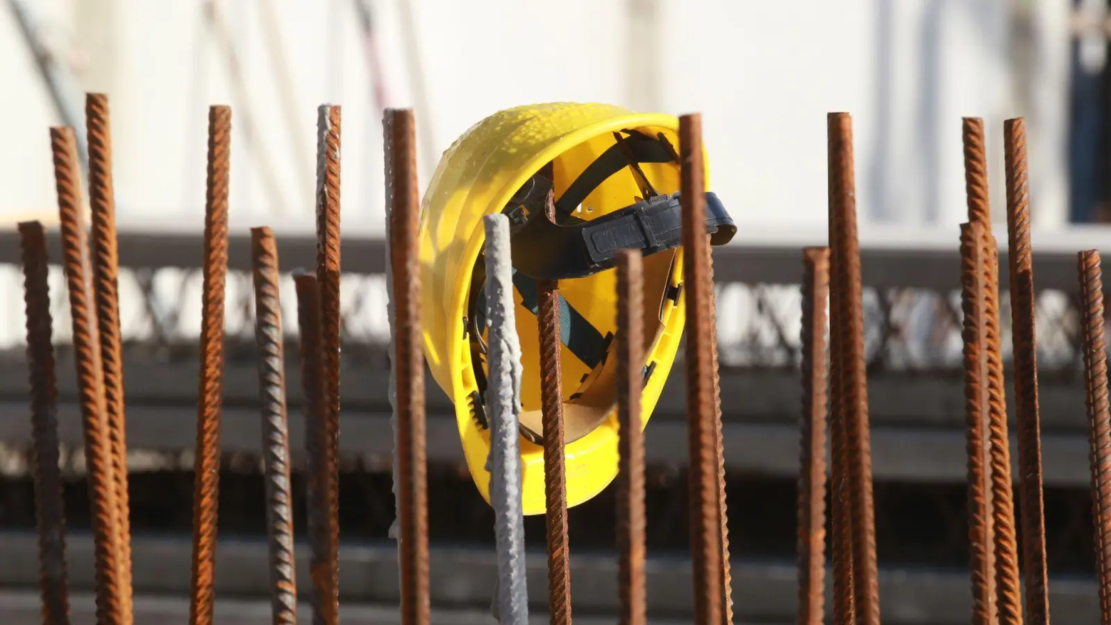 Die Zahl der Erwerbstätigen entwickelt sich von Bundesland zu Bundesland sehr unterschiedlich. (Archivbild) (Foto: Bodo Schackow/dpa-Zentralbild/dpa)