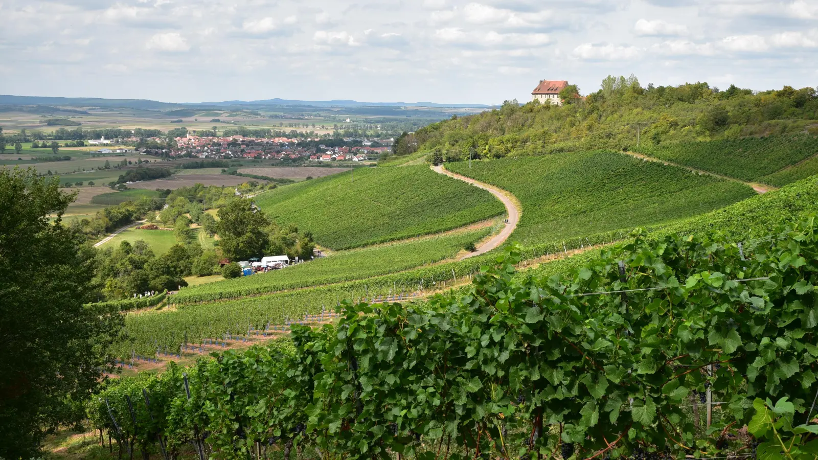 Die Weinlage rund um die Burg Hoheneck ist auch über die Region hinaus bekannt. Nun finden am Fuß des Berges in Ipsheim wieder die Tage der offenen Weingüter statt. (Foto: Manfred Blendinger)