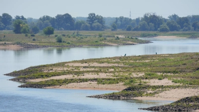 Niedrigwasser erschwert die Schifffahrt auf mehreren Flüssen.  (Foto: Soeren Stache/dpa)