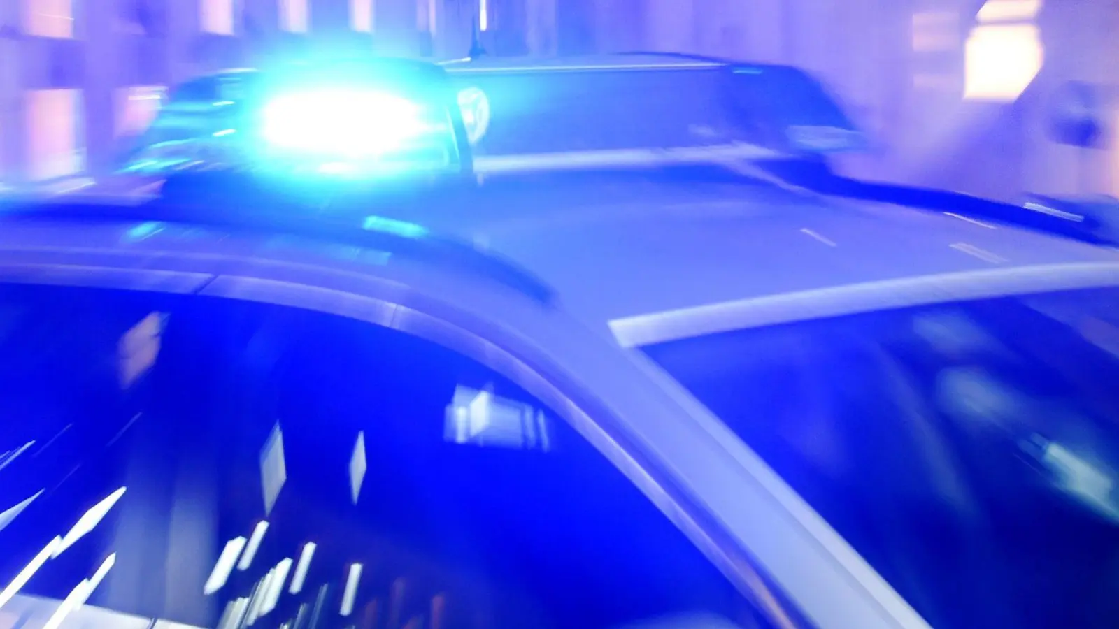 Nachdem sechs Babykatzen an einem Rastplatz gefunden wurden, ermittelt die Polizei wegen Verstoßes gegen das Tierschutzgesetz. (Symbolbild) (Foto: Carsten Rehder/dpa)