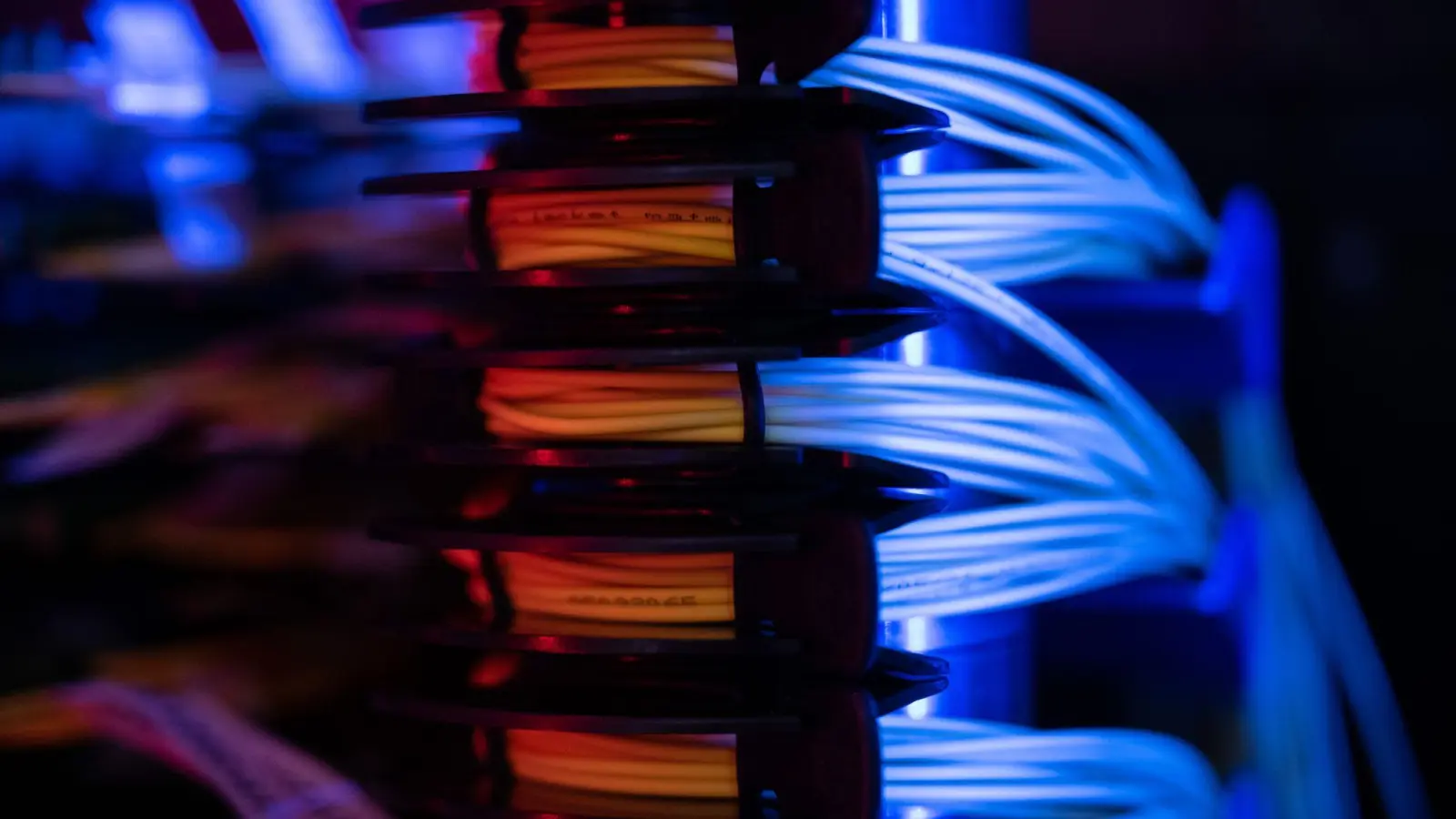 Prorussische Hacker haben nach einem Bericht der „Süddeutschen Zeitung“ die Webseite des Deutschen Vergabeportals in die Knie gezwungen. (Symbolbild) (Foto: Sebastian Gollnow/dpa)