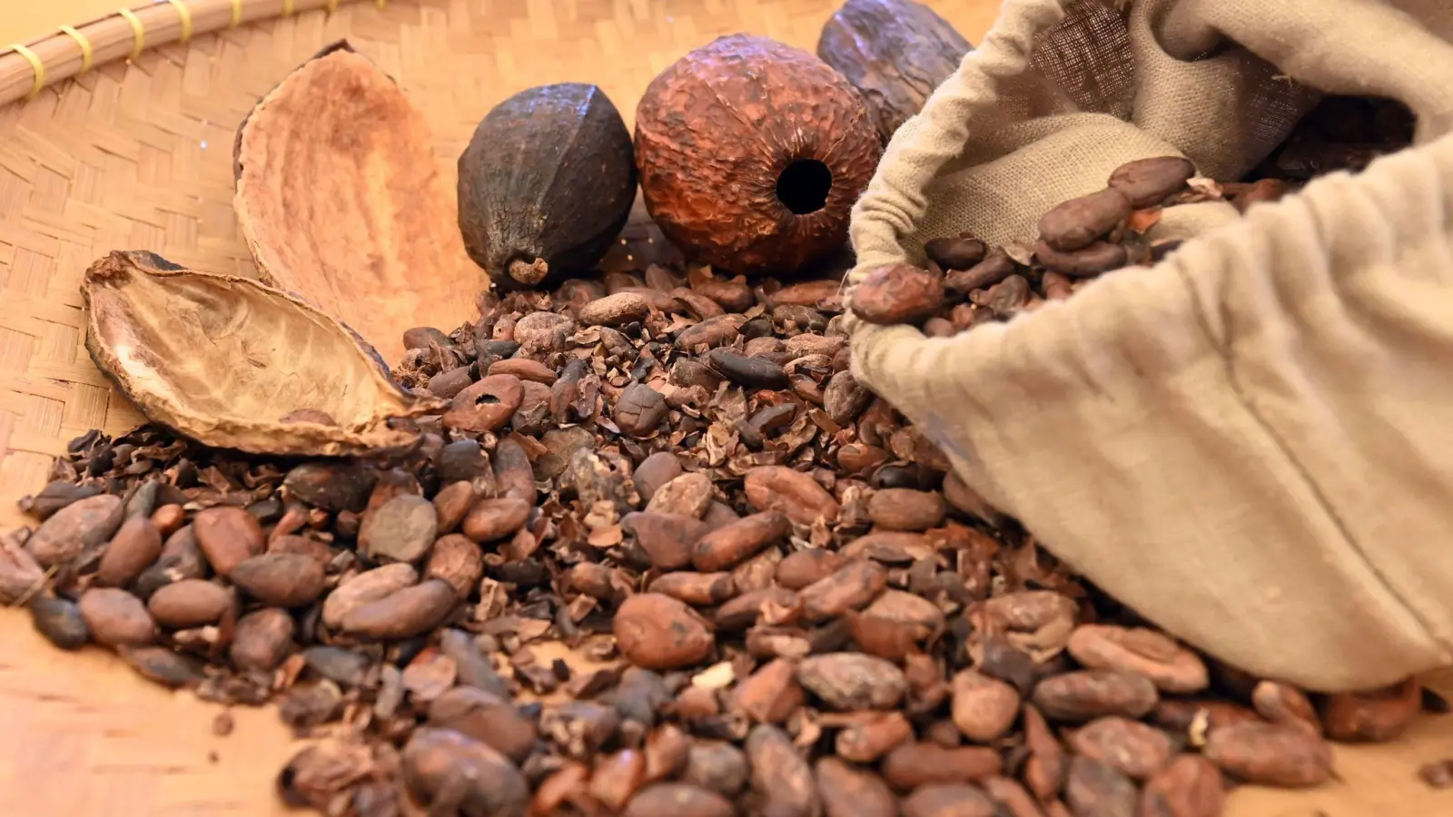 70 Prozent des weltweiten Kakaos kommt aus Westafrika. Doch unter welchen Umständen wird er produziert? (Foto: Uli Deck/dpa)