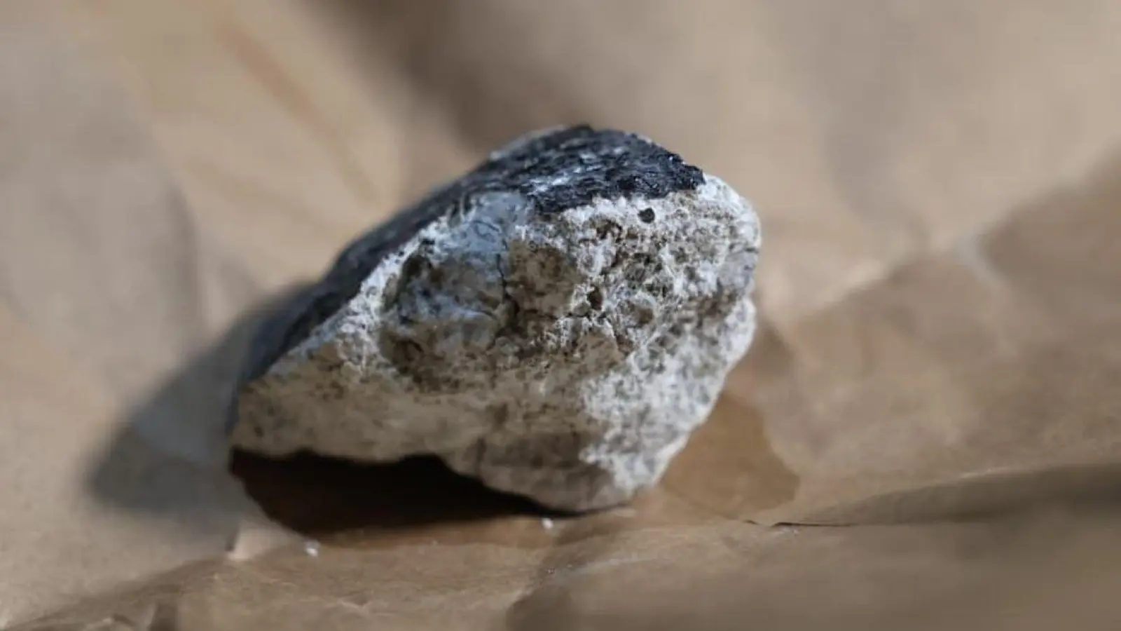 Dieses Meteoritenstück hinterließ ein Loch in einem Hausdach. (Foto: Thomas Frey/dpa)