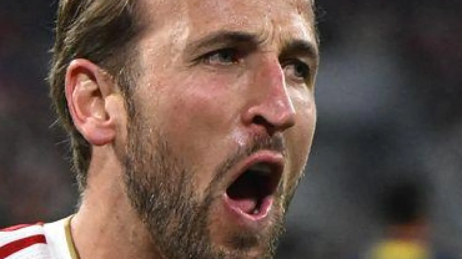 Ein bekanntes Bild - Harry Kane jubelt über ein Tor. (Foto: Sven Hoppe/dpa)