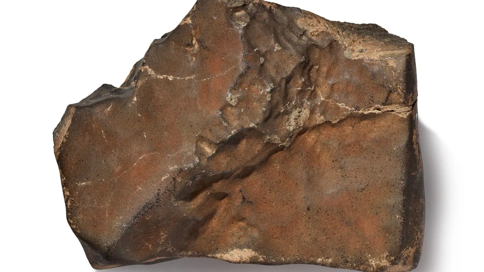 Ein Stück Mars wurde für eine Rekordsumme versteigert. (Handout) (Foto: Sotheby's/dpa)