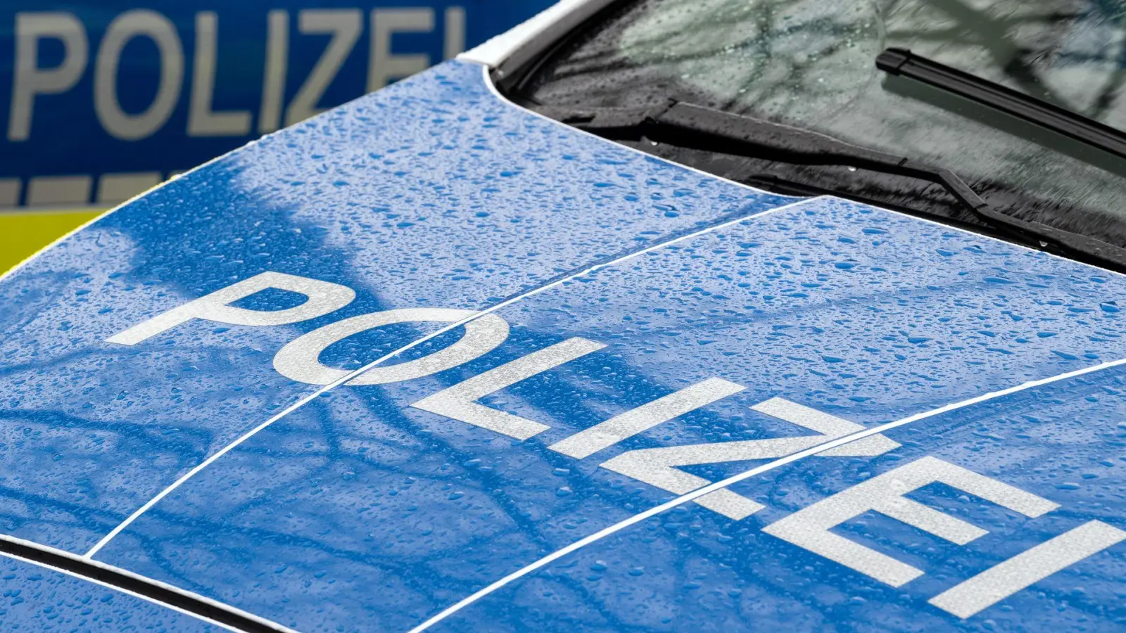 Die Polizei ermittelt nach einem Wohnmobilbrand bei Mertingen gegen eine Schaulustige. (Symbolbild) (Foto: Soeren Stache/dpa)
