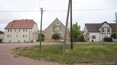Das vier Jahre alte Mädchen war am Mittwochnachmittag von dem Familienhund im Ortsteil Drosa in der Gemeinde Osternienburger Land attackiert worden.  (Foto: Heiko Rebsch/dpa)