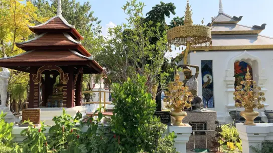 Garten in einem Tempel in Chiang Mai: Für einen thailändischen Baht (0,027 Euro) pro Nacht können Urlauber in Chiang Mai ab sofort in einem Hotel übernachten. (Foto: Carola Frentzen/dpa)
