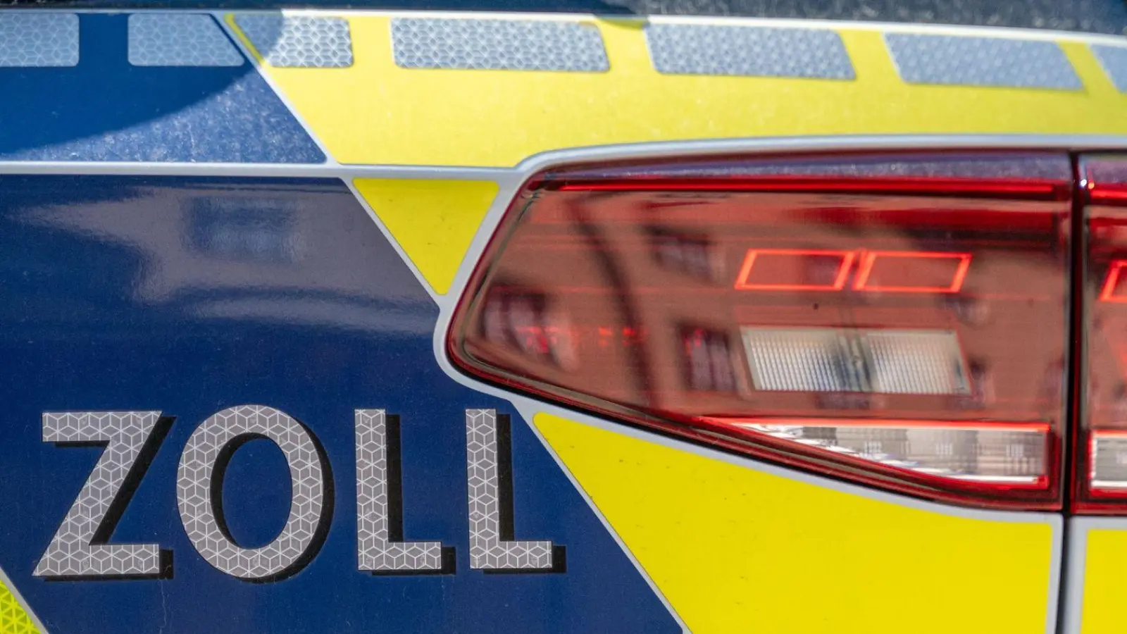 Der Zoll findet Waranfleisch im Reisekoffer eines Passagiers. (Symbolbild) (Foto: Leonie Asendorpf/dpa)