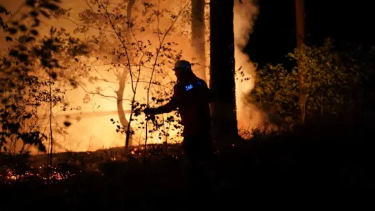 Ein Feuerwehrmann löscht einen Waldbrand. (Foto: Carsten Schmidt/Feuerwehr Bleckede/dpa/Symbolbild)