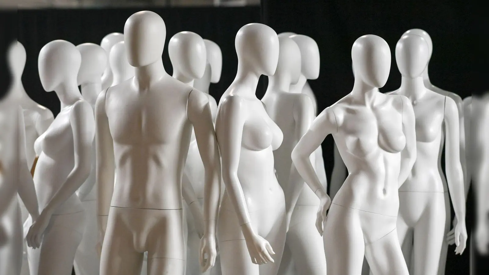 Viele wissenschaftliche sowie medizinische Standards basieren auf dem männlichen Körper. (Foto: Jens Kalaene/dpa-Zentralbild/dpa)