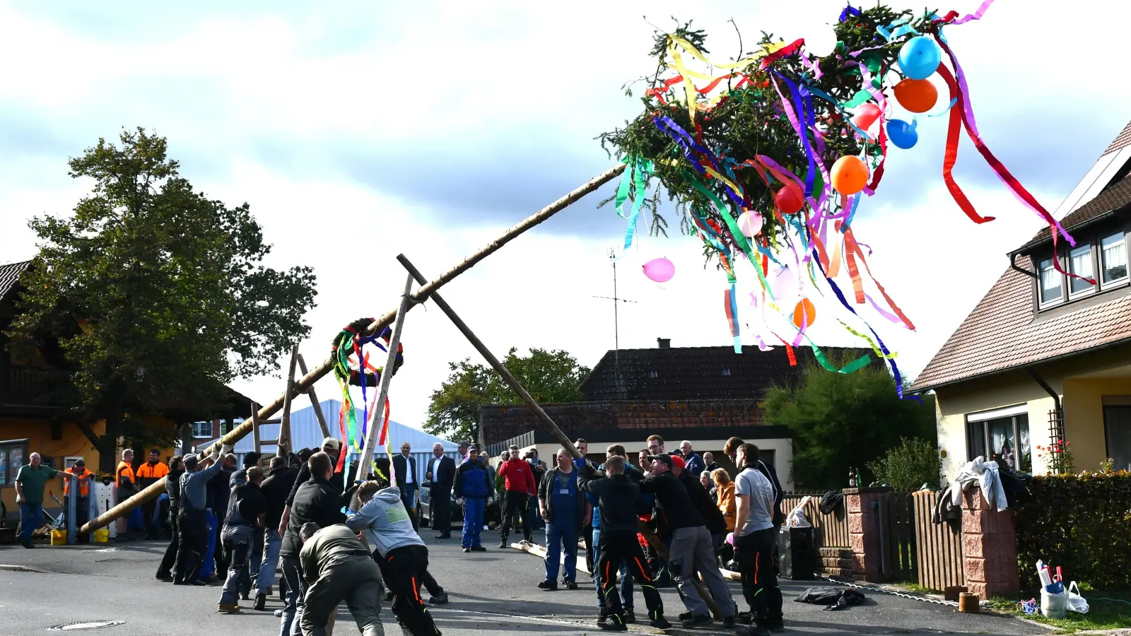 Am Samstag wird der Kerwabaum in die Senkrechte gebracht.  (Foto: Gudrun Schwarz-Köhler)