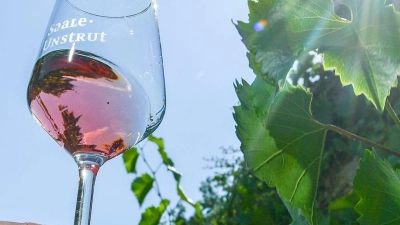 Rosé-Wein wird gerne getrunken. (Foto: Jens Kalaene/dpa)