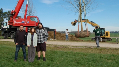 Zwischen sieben und zehn Tonnen wiegt der Baum mit seinem Wurzelballen, der im Hintergrund am Kranhaken schwebt. Bei der Aktion mit dabei waren von Seiten des Festivalveranstalters Silverdust (von links): Manuel Kiesel, Projektleiter Bauinfrastruktur und Geländeplanung, Minou Alirezazadeh, die für das Thema Nachhaltigkeit zuständig ist, sowie Festivalchef Achim Ostertag. (Foto: Markus Weinzierl)