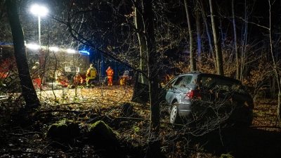 Das Auto der 59-Jährigen kam in einem Waldstück zwischen Hirschneuses und Adelsdorf zum Stehen. (Foto: Mirko Fryska)
