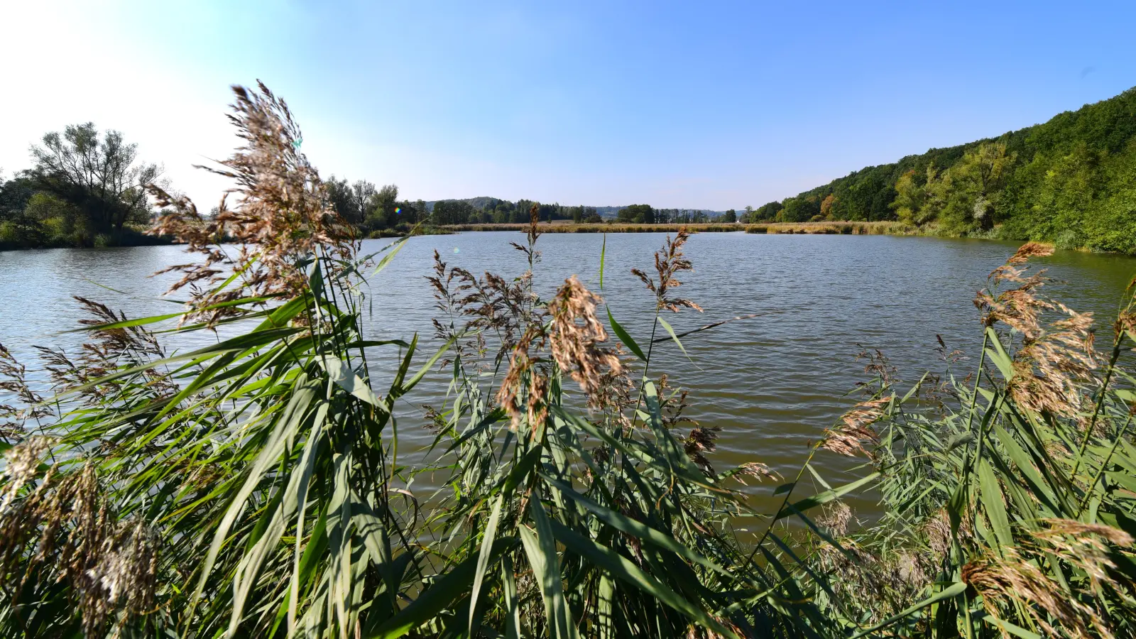 Der Scheerweiher zwischen Schalkhausen und Dornberg ist das einzige Naturschutzgebiet im Ansbacher Stadtgebiet. (Foto: Jim Albright)