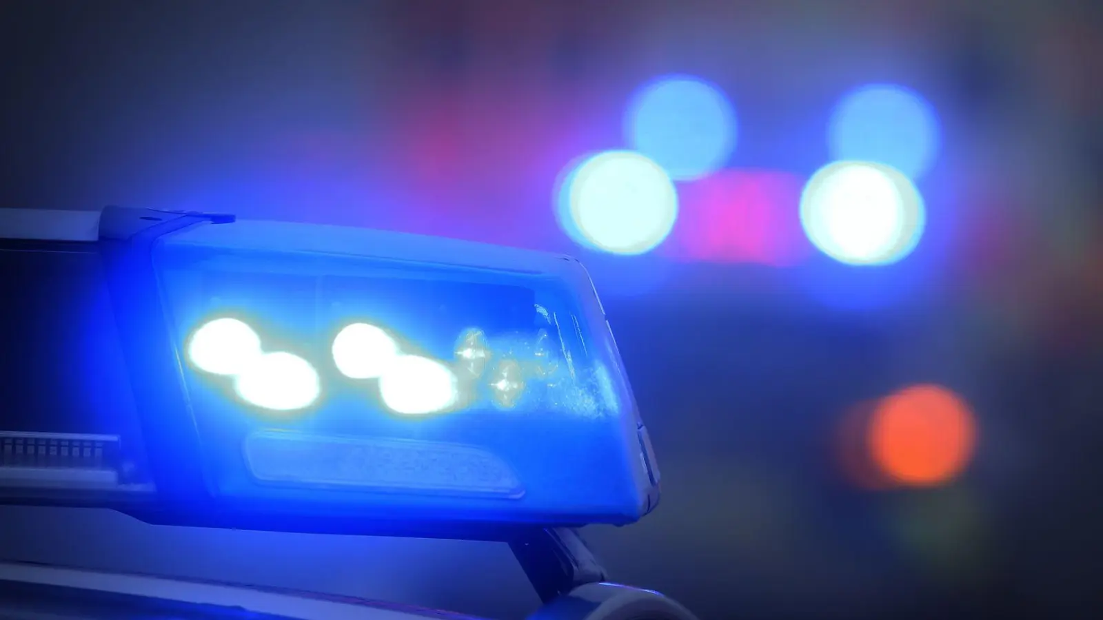 Die Polizei war in der Nacht in Straubing wegen eines betrunkenen Autofahrers im Einsatz. (Symbolbild) (Foto: Karl-Josef Hildenbrand/dpa)