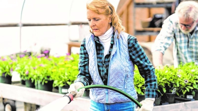 Gartenfreuden: Nach dem Säen ist eine regelmäßige Befeuchtung sehr wichtig. (Foto: Pexels)