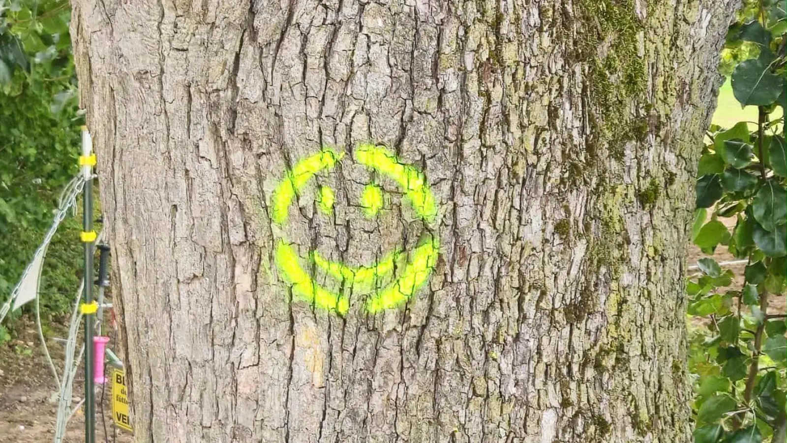 Dieser Smiley auf Obstbäumen in und rund um Uffenheim zeigt: Bedienen an den Früchten ausdrücklich erwünscht. (Foto: Thomas Siebert)