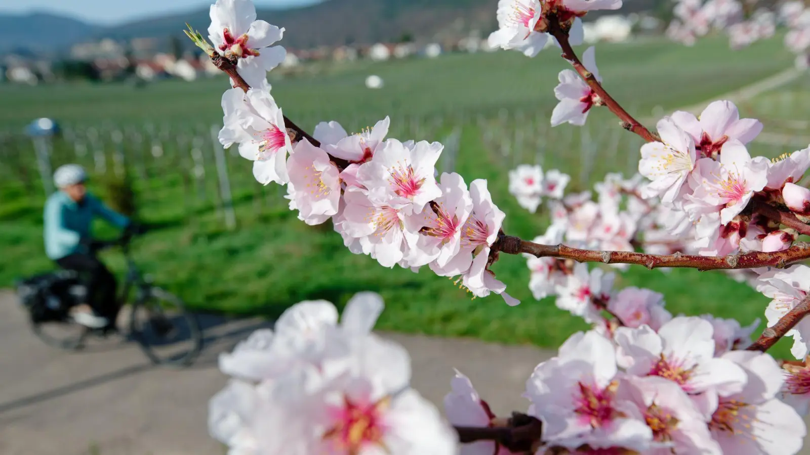 Im März lockte das Wetter bereits zu vielen Aktivitäten ins Freie. (Archivbild) (Foto: Uwe Anspach/dpa)