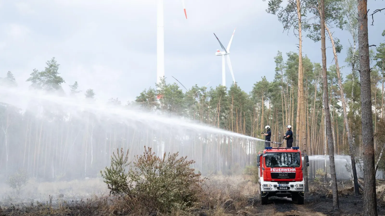 Feuerwehrleute löschen in einem Wald. (Foto: Sebastian Kahnert/dpa/Symbolbild)