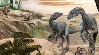 Künstlerische Darstellung des Dinosauriers Huayracursor jaguensis (Foto: Jorge Blanco/CONICET Argentina/dpa)