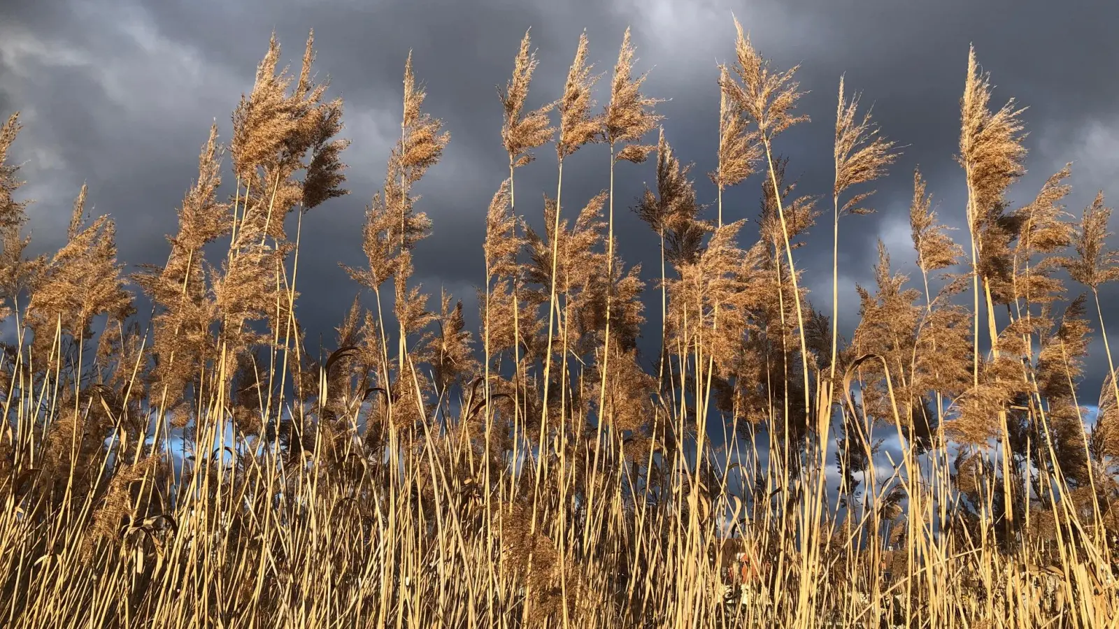 Wechselhaftes Wetter mit Sturmböen und Schauern prägt den Monatsbeginn.  (Symbolbild: Lara Hausleitner)