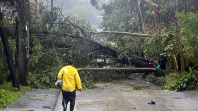 Umgestürzte Bäume blockieren eine Straße in Baguio City im Norden der Philippinen. (Foto: Uncredited/AP)