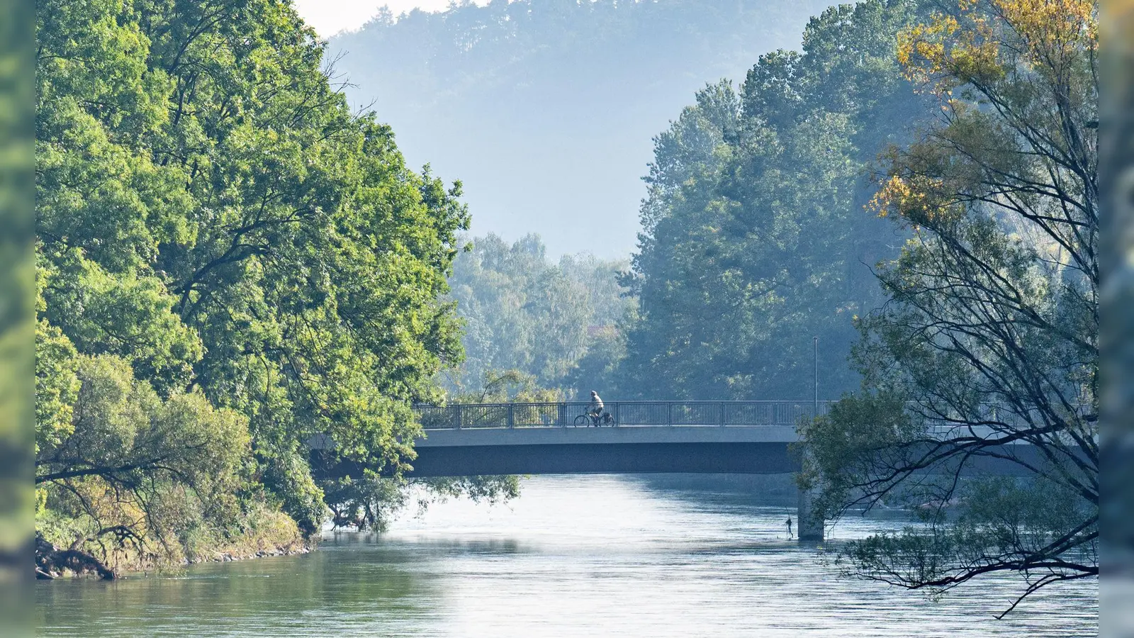 In der Isar bei Landhut wurde die Fischart erfolgreich ausgesetzt. (Archivbild)   (Foto: Armin Weigel/dpa)
