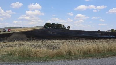 Gut zwei Hektar groß ist die Fläche, die am Sonntagnachmittag zwischen Bortenberg und Dombühl brannte. (Foto: Gudrun Bayer)