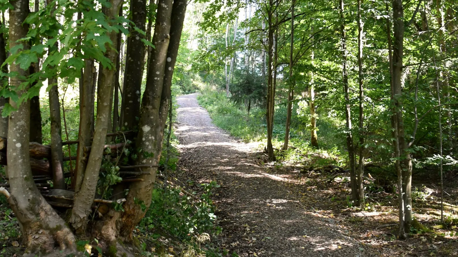 Der Besinnungsweg Aurach bietet an 15 Stationen besondere Herausforderungen. (Archivbild: Peter Zumach)