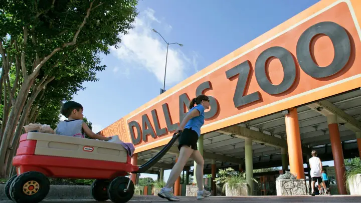 Der Eingang zum Dallas Zoo. In dem Zoo im US-Bundesstaat Texas häufen sich seit einigen Wochen rätselhafte Vorfälle. (Foto: Steve Helber/AP/dpa)