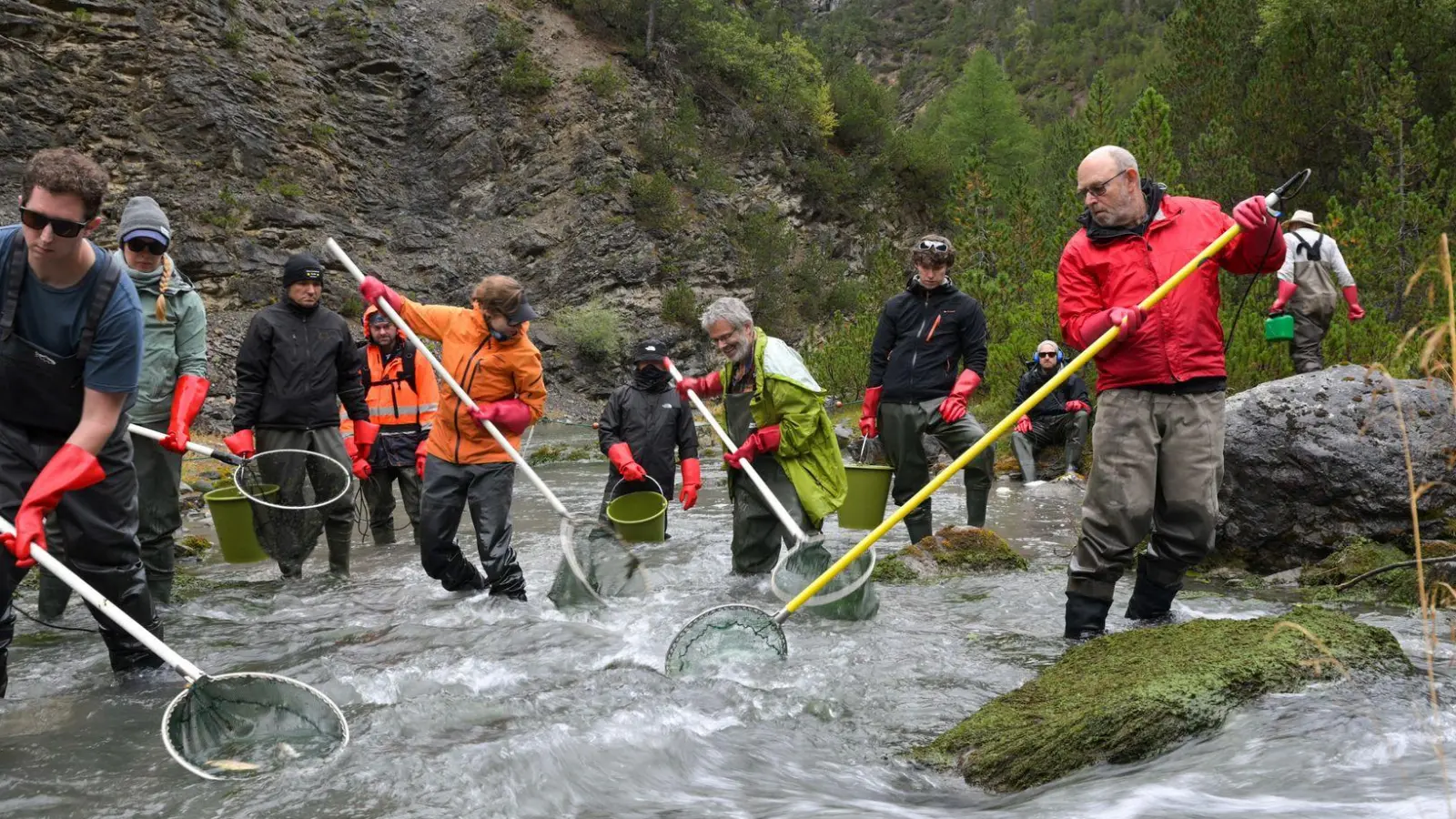 Die mit Netzen gefischten Bachforellen werden in Behältern per Hubschrauber stromabwärts gebracht.   (Foto: Hans Lozza/Schweizerischer Nationalpark/dpa)