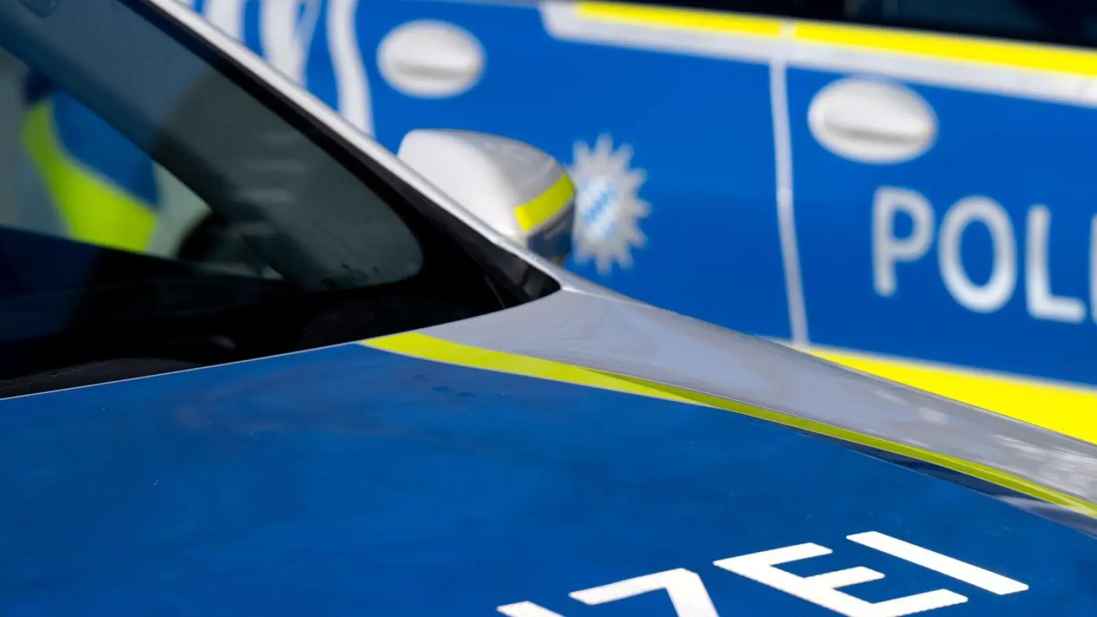 Auch ein sechs Monate alter Säugling saß in dem Wagen. (Symbolbild) (Foto: Sven Hoppe/dpa)