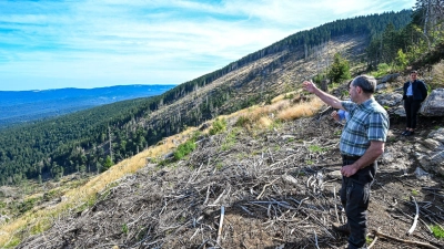 Wirtschaftsminister Hubert Aiwanger steht in einem Waldstück nahe Bodenmais (Landkreis Regen), in dem nach Borkenkäferbefall etliche abgestorbene Bäume übriggeblieben sind. (Foto: Armin Weigel/dpa)