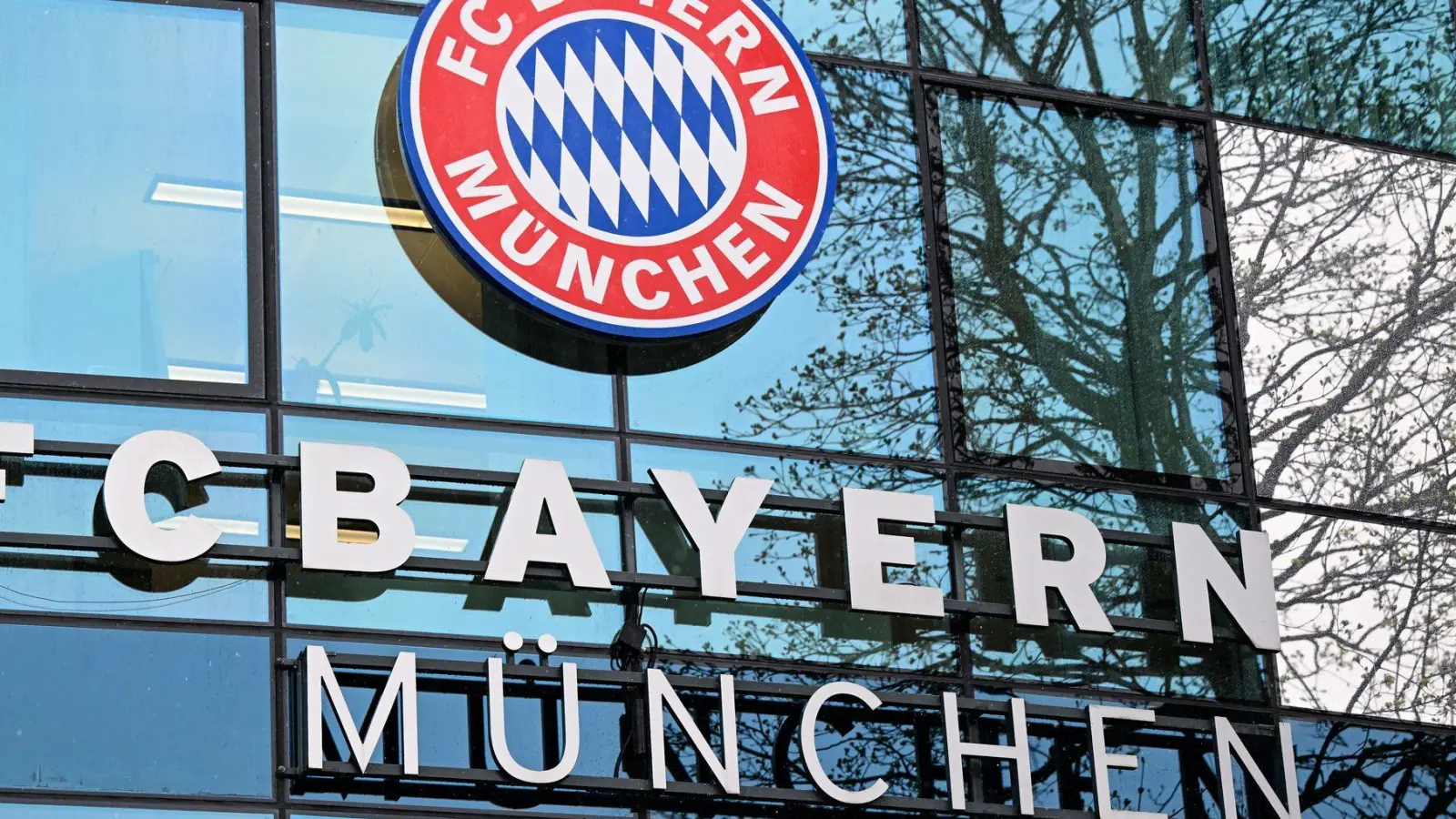 Der FC Bayern hat den Sportpark Unterhaching gekauft. (Archivbild) (Foto: Sven Hoppe/dpa)