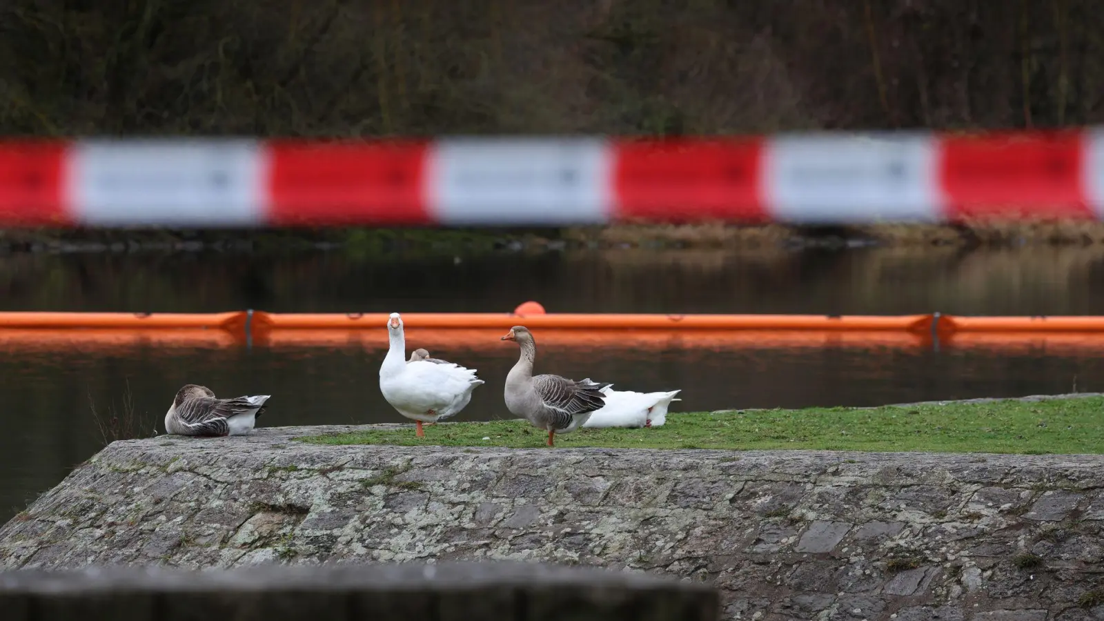 Ölsperren sollen verhindern, dass sich der Kraftstoff weiter ausbreitet.  (Foto: Karl-Josef Hildenbrand/dpa)