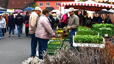 Besuchen Sie den Markt am Sonntag. Es lohnt sich! (Foto: Gudrun Schwarz-Köhler)