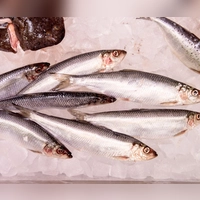 WWF-Marktcheck: Lediglich 27 Prozent der untersuchten Fischprodukte in deutschen Supermärkten schnitten als empfehlenswert ab. (Foto: Zacharie Scheurer/dpa-tmn)