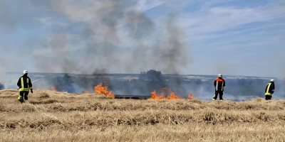 Rund 10.000 Quadratmeter eines Feldes zwischen Westheim und Marktbergel standen in Flammen.<br> (Foto: Kreisfeuerwehrverband Nea)