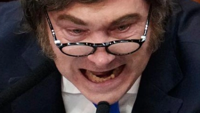 Der ultraliberale Präsident gerät heftig mit oppositionellen Abgeordneten aneinander.  (Foto: Gustavo Garello/AP/dpa)