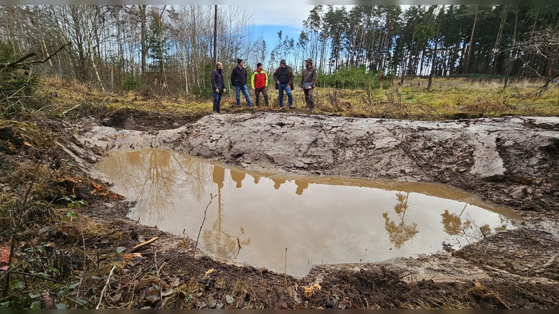 An 25 Standorten im Rechtlerwald bei Brunst und Eckartsweiler entstanden innerhalb einer Woche mehr als drei Dutzend neuer Tümpel in verschiedenen Größen. Naturpark-Ranger Wolfgang Wenk, Klimaschutzbeauftragter Gerald Ulrich sowie die beiden Waldführer Gerhard Schönknecht und Andreas Ebert (von rechts) erläuterten Bürgermeister Markus Liebich den Fortgang der Arbeiten.  (Foto: Wolfgang Grebenhof)