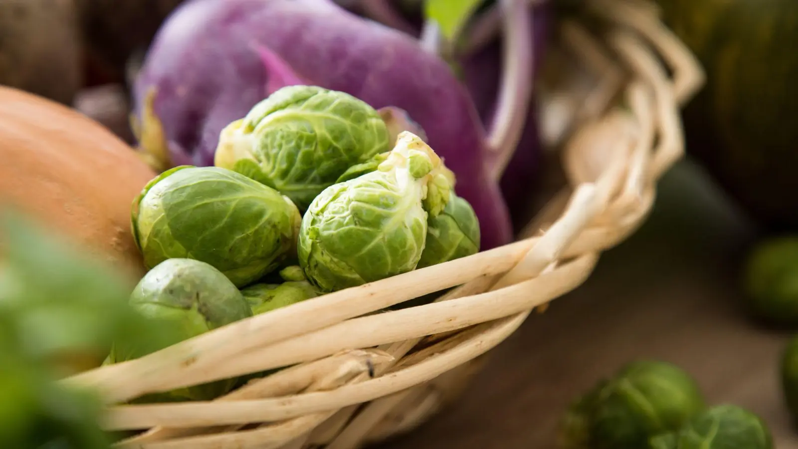 Wer in der kargen Jahreszeit eine bunte Auswahl an Wintergemüse haben will, sollte jetzt mit dem Pflanzen loslegen. (Foto: Christin Klose/dpa-tmn)