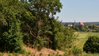 Zwischen den Burgen Oberhöchstädt und Dachsbach (rechts) bestand einst Blickkontakt. Jetzt ist von ersterem nur noch ein überwucherter Hügel übrig (links). (Foto: Johannes Hirschlach)