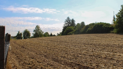 Für diese zum Wohnbau ausgeschriebene Fläche oberhalb der Dombachsiedlung hat ein Investor konkrete Pläne. Bebaut wird sie vermutlich trotzdem nicht. (Foto: Constantin Prosch)