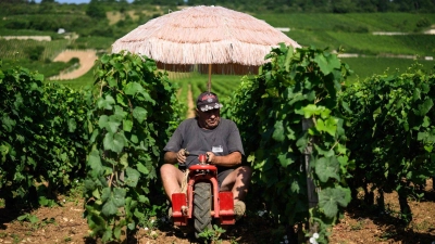 Neben Lieferdiensten und Bauarbeitern ist die Landwirtschaft besonders von Hitze betroffen. (Archivbild) (Foto: Arnaud Finistre/AFP/dpa)