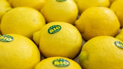 Bei vielen Verbrauchern sind Bio-Lebensmittel beliebt. (Symbolbild) (Foto: Daniel Karmann/dpa)