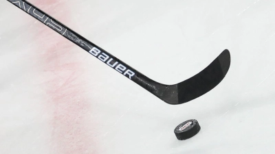 Die Nürnberg Ice Tigers haben noch mal personell nachgelegt. (Archivbild) (Foto: Daniel Karmann/dpa)